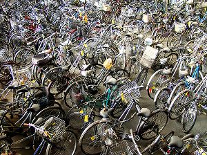 olanda-troppe-bici