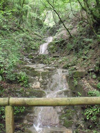 ruscello sulla ciclabile della valle imagna