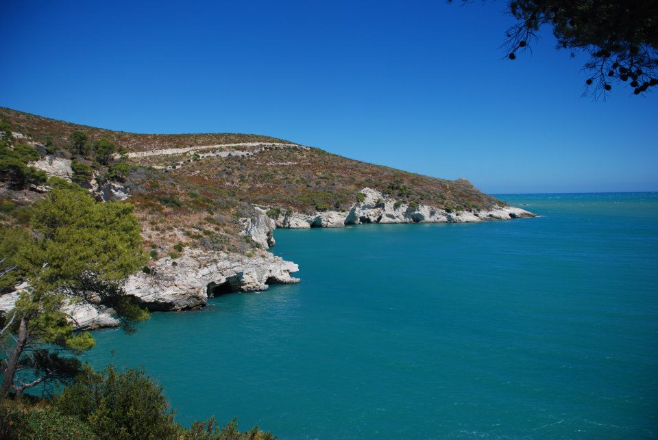 Costa del Gargano 2