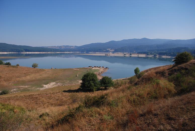 Lago di Cecita
