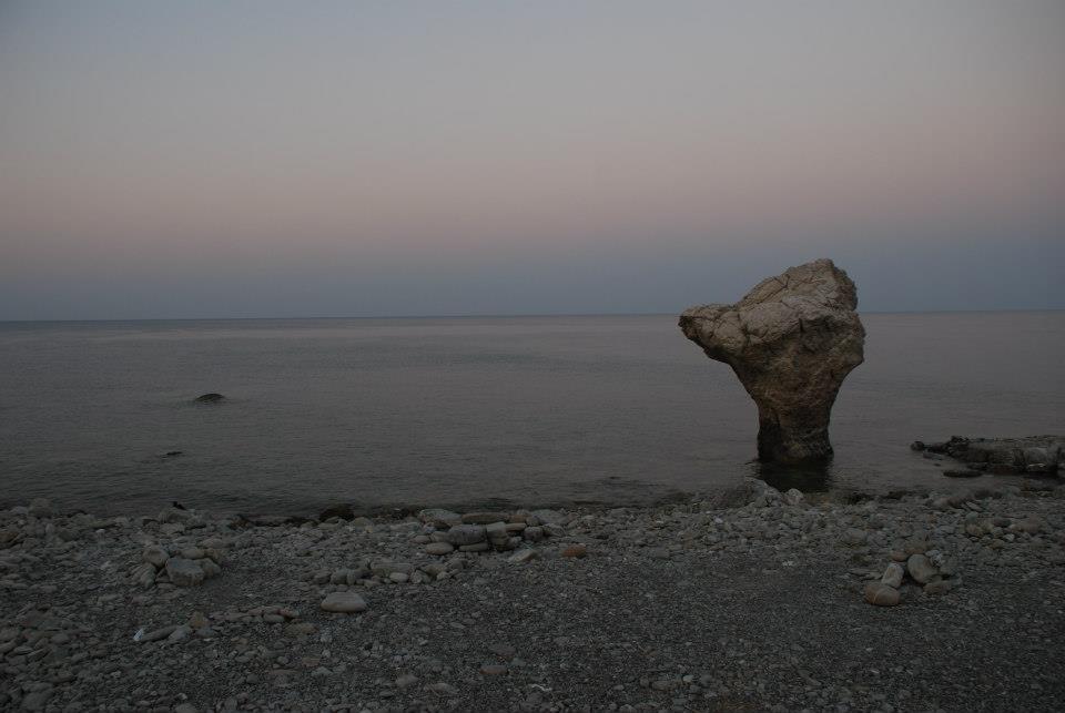 Roseto