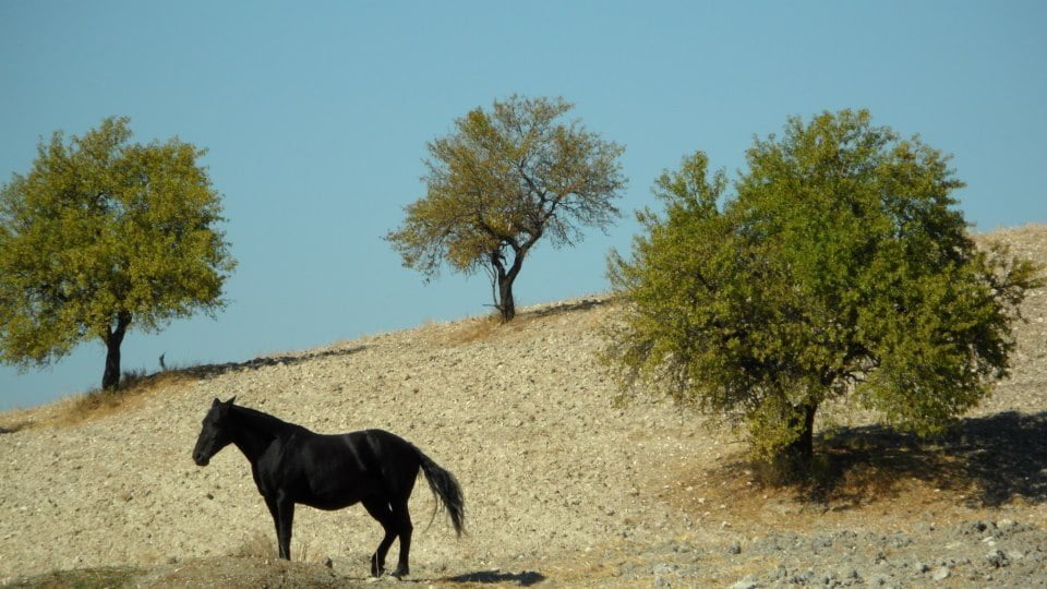sicilia-in-bici-10