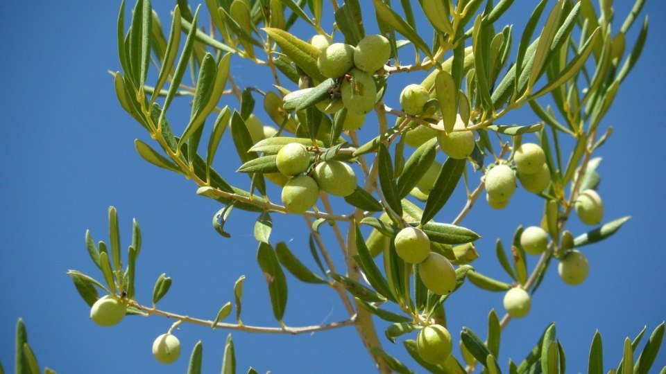 sicilia-in-bici-12