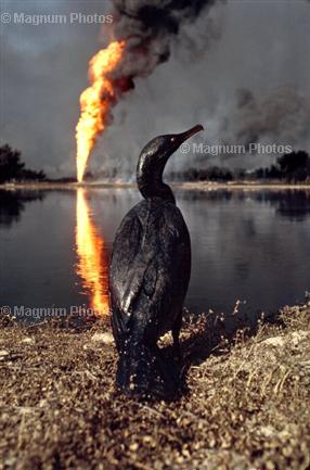 1991_Kuwait_SteveMcCurry