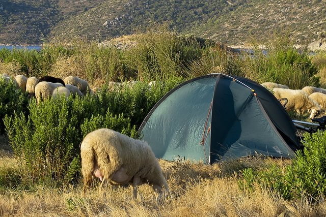 tenda-