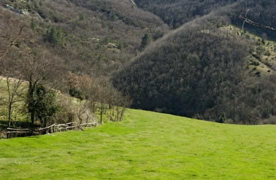 fontana-moneta