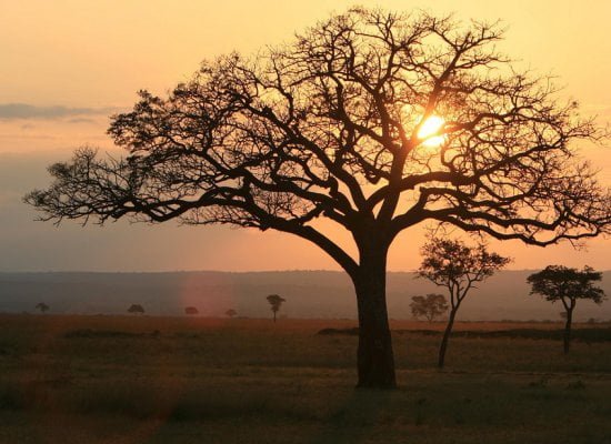 tramonto_mikumi-national-park-