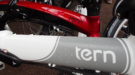 Tern