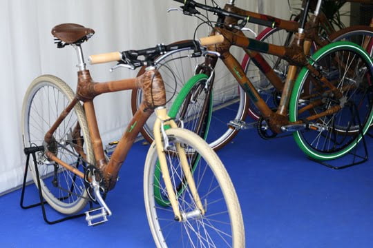 bamboo