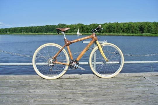 bike-bamboo