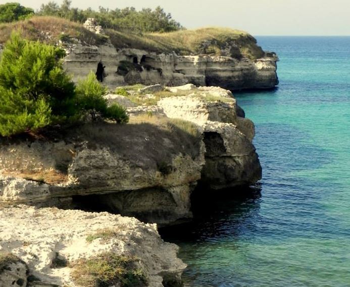 mare