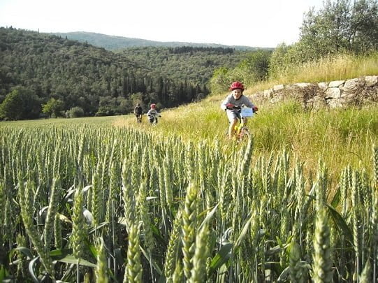 Scuola MTB
