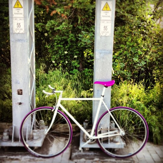 treno-bici-3