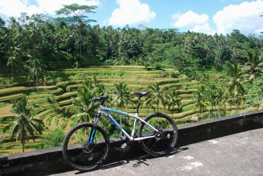 Bali in bici tra templi, terrazze di riso e spiagge vulcaniche