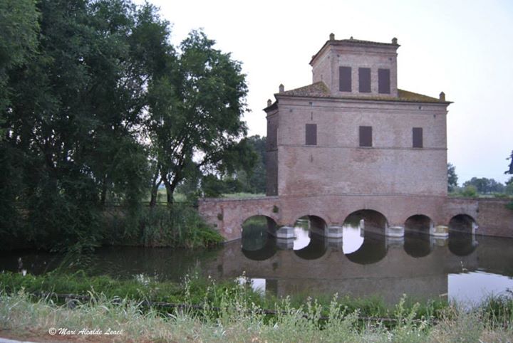 Nel parco della Mesola © Mario Leaci