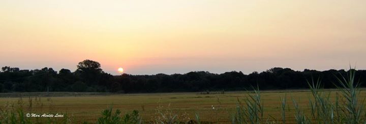 Alba nel parco della Mesola © Mario Leaci