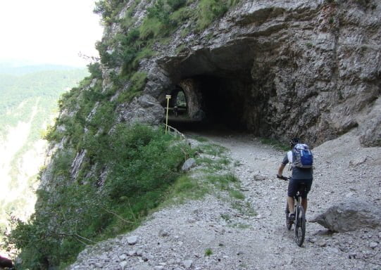 Calceranica (52) 541