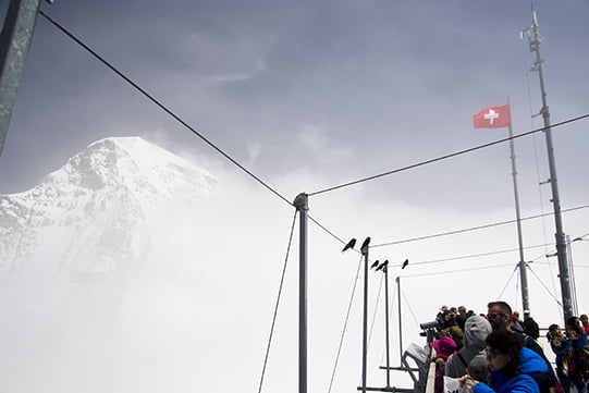 Top of Europe