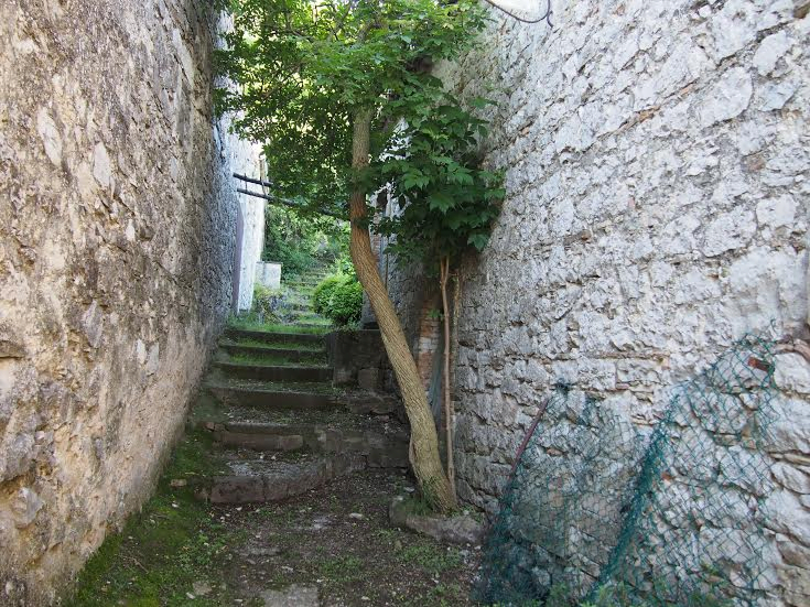 Cicloeremia