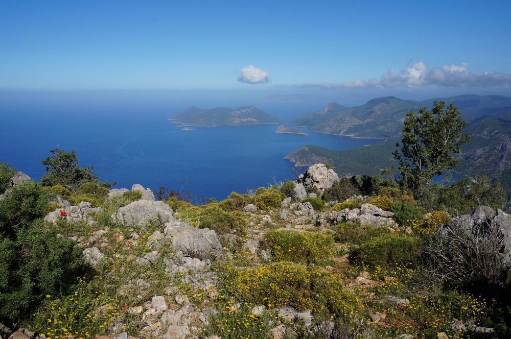 isole