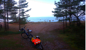 estonia-bici-5