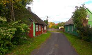 estonia-bici-7