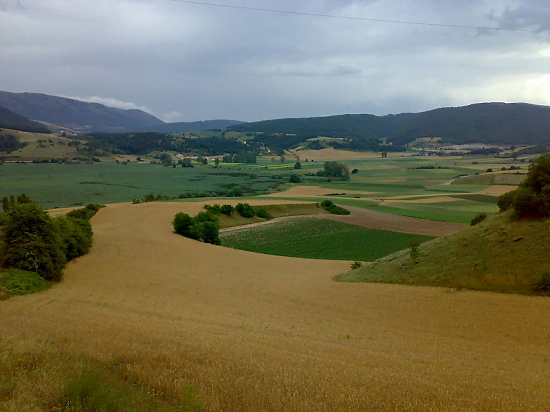 Foligno