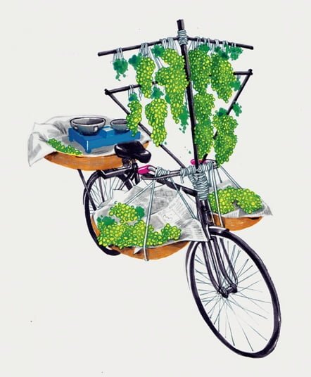 ghoda-bici-india-2