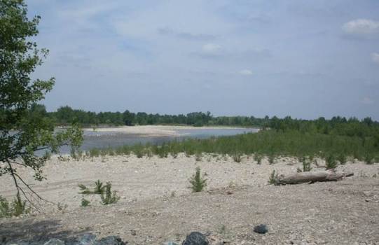 image008