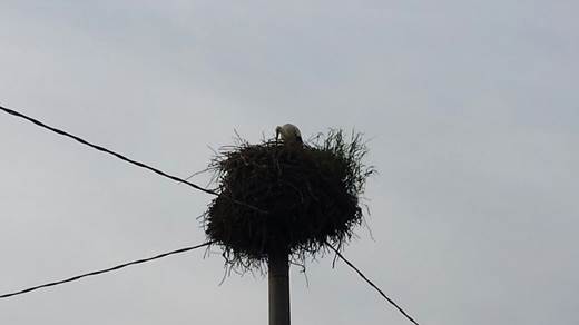 image011