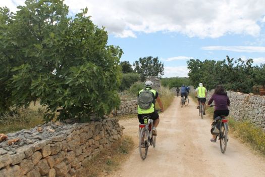 locorotondo_alberobello_10_risultato