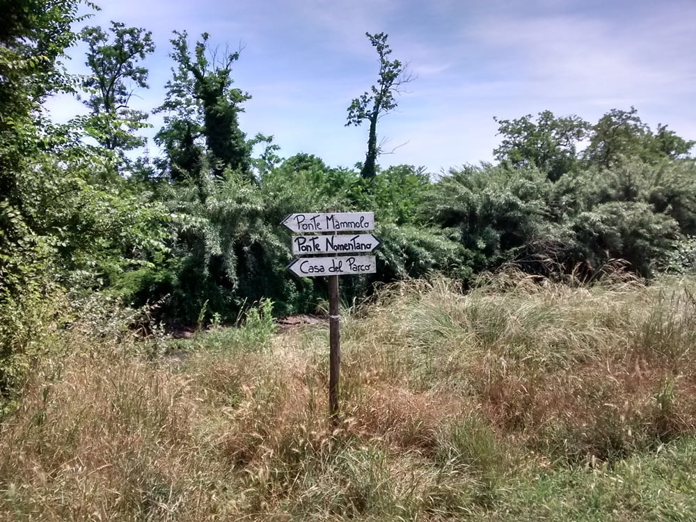 segnalazioni