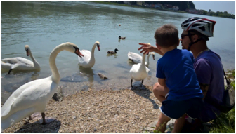 danubio-3