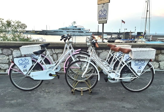 CAPRI_BIKESHARING_2