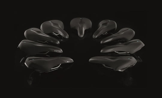 Scientia_1