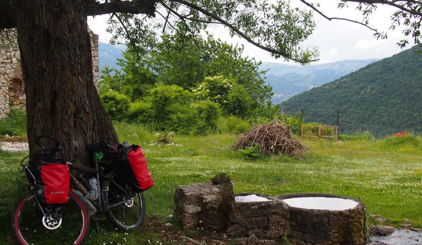 bici su prato