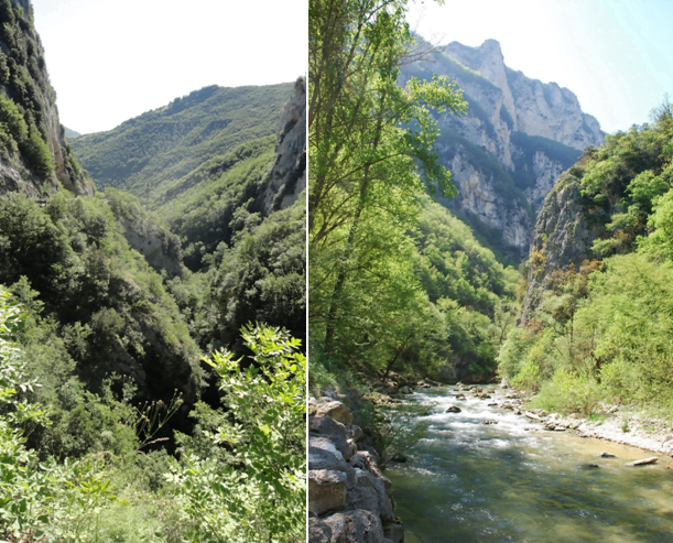 torrente