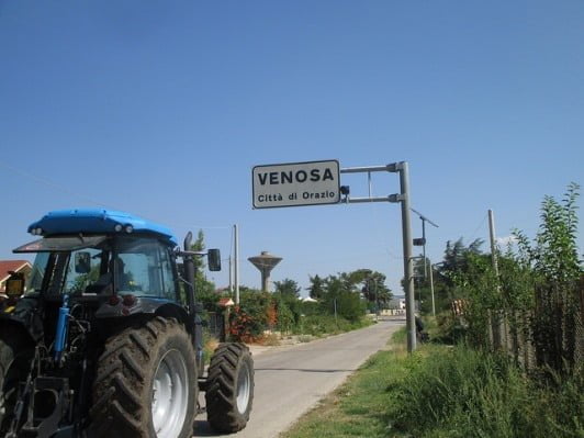 venosa-2