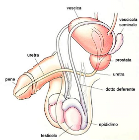 Fertilità_2