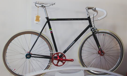 fidusa bici