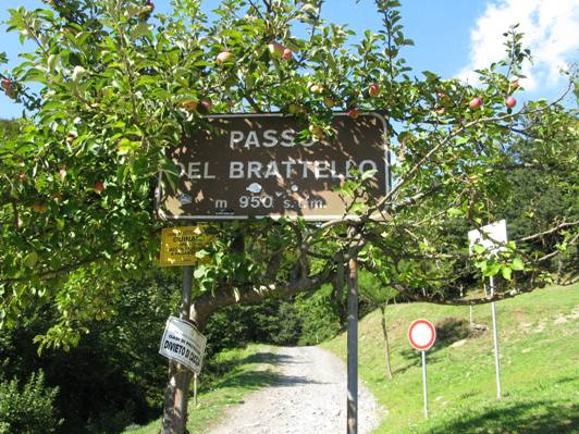 viaggio-incondizionato-7