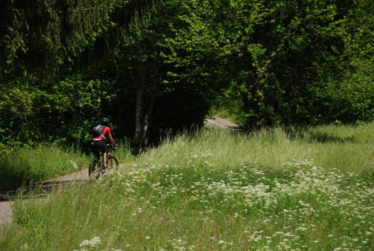 03 Ciclabile nel verde