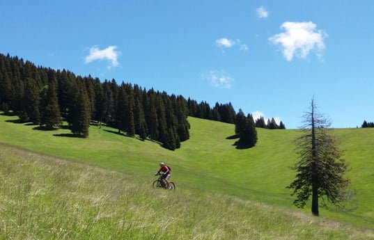 04 grandi prati