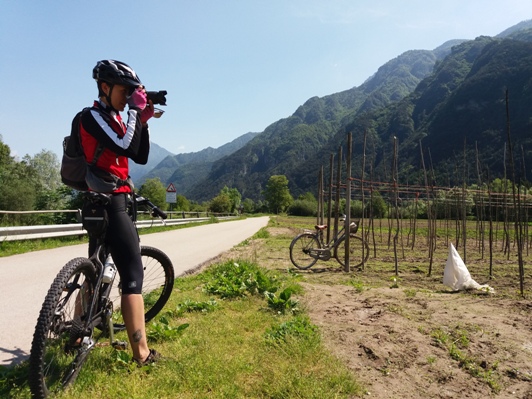 Trentino, Val di Non in bici: miele, castelli e canyon