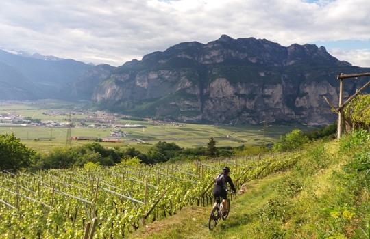 Trentino: Val di Cembra e Faedo in bici