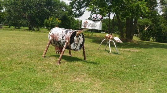 TRANS_AM_BIKE_RACE_ILARIA_CORLI_COW_CASCO