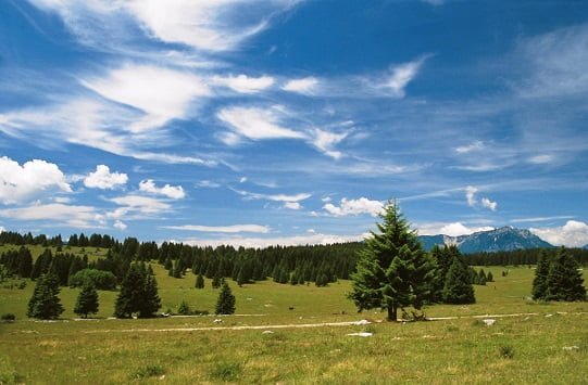 trentino_millegrobbe