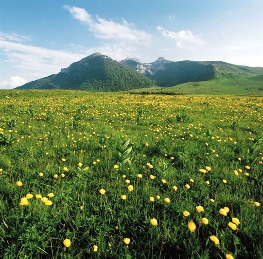 trentino_viote