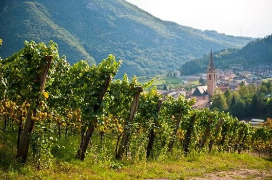 archivio-trentino-sviluppo-r-kiaulehn