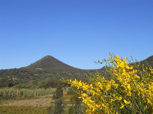 bici-sardegna-4